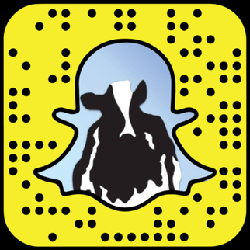 Ben and Jerry's Snapchat username