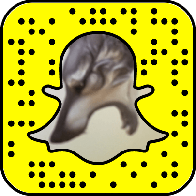 Chazen Museum of Art Snapchat username