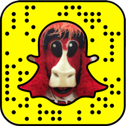 Chicago Bulls snapchat