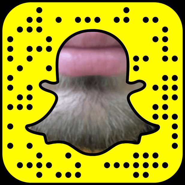 Darkzy Snapchat username