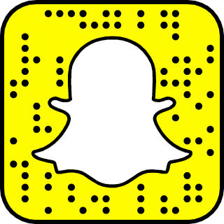 Fabrício Werdum Snapchat username