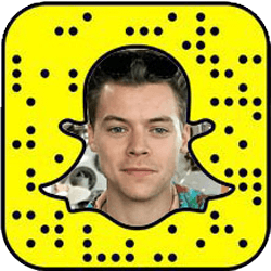 Harry Styles snapchat