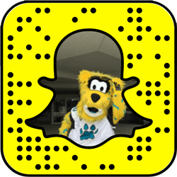 Jacksonville Jaguars snapchat