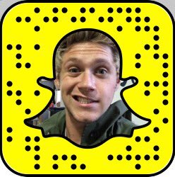 Niall Horan snapchat