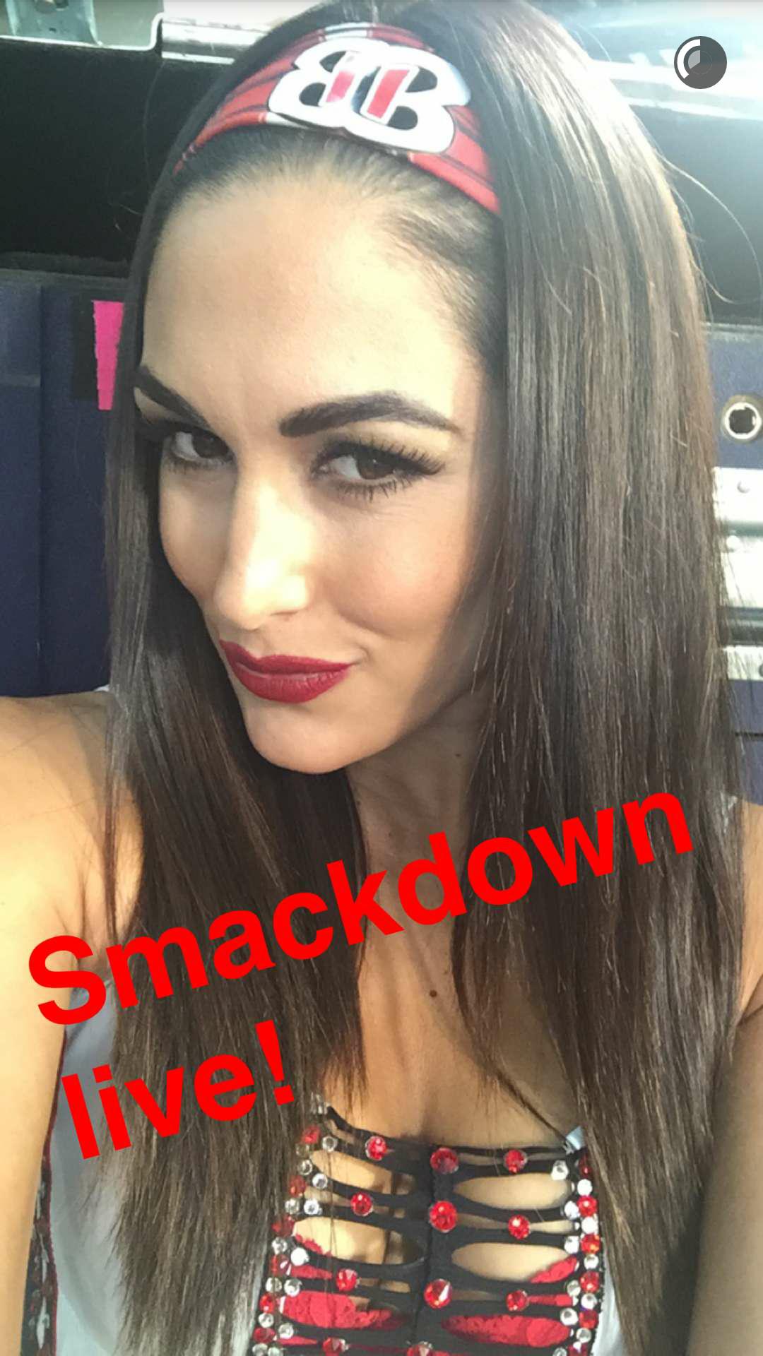 Nikki bella snapchat username